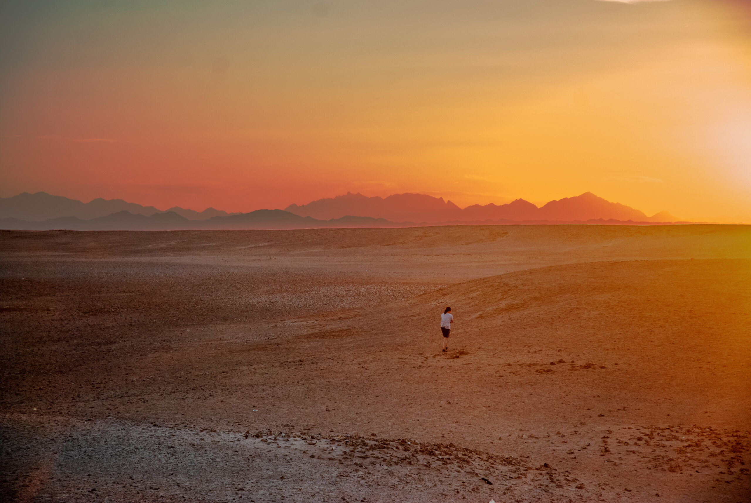 Epic Egypt Liveaboard: My First-Time Scuba Diving Adventure in the Red Sea